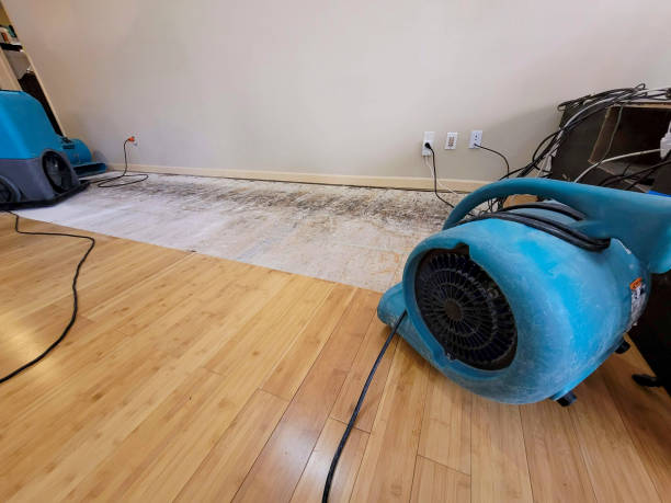 Professional Sewage Cleanup technician working in Vacaville, CA